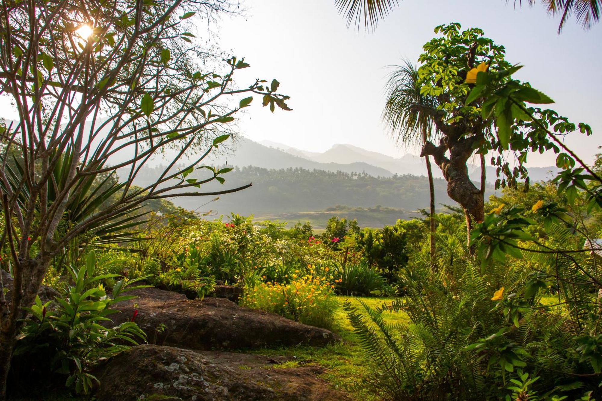 Guest house Bougainvillea Retreat