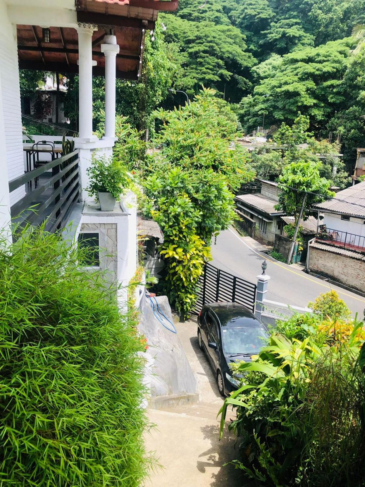Chandi Mahal Homestay *