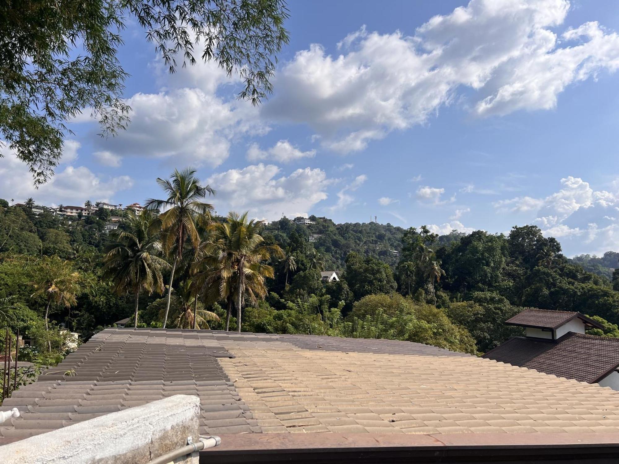 Homestay Canopy Kandy