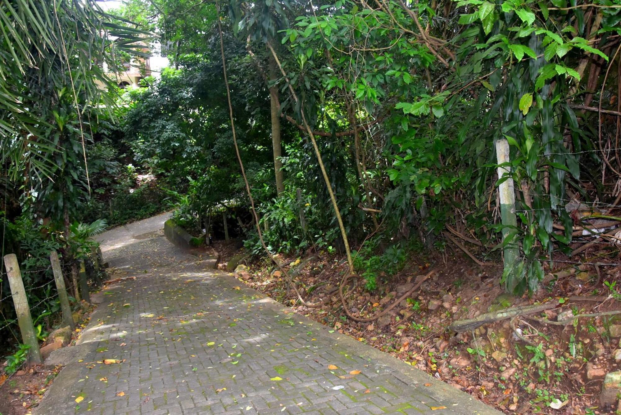 Guest house Insa Kandy