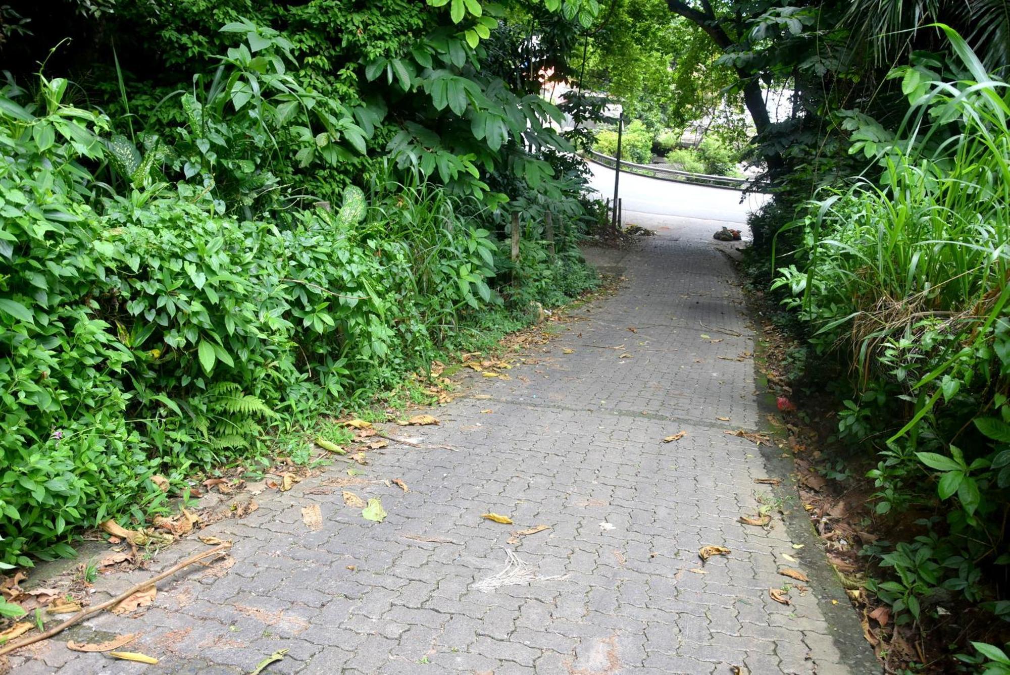 Guest house Insa Kandy