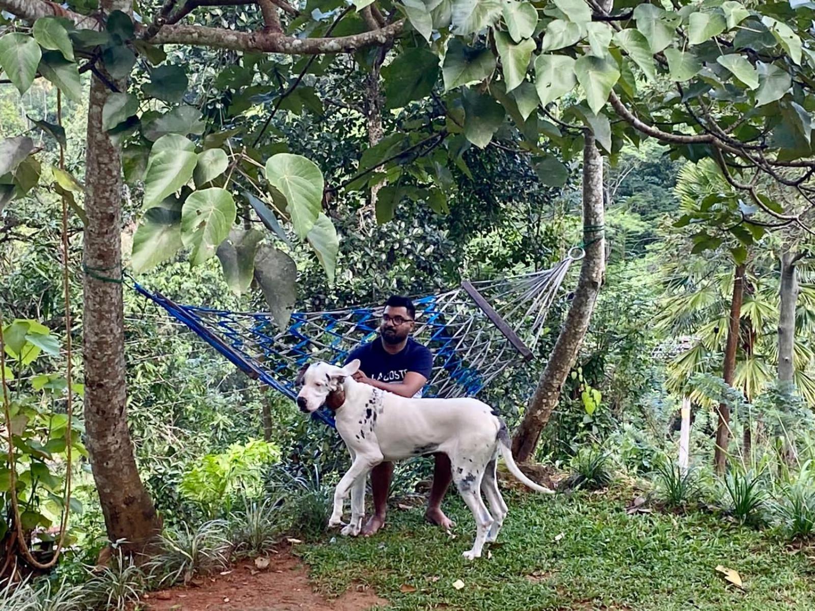 Villa Little Wood And Retreats Doluwa