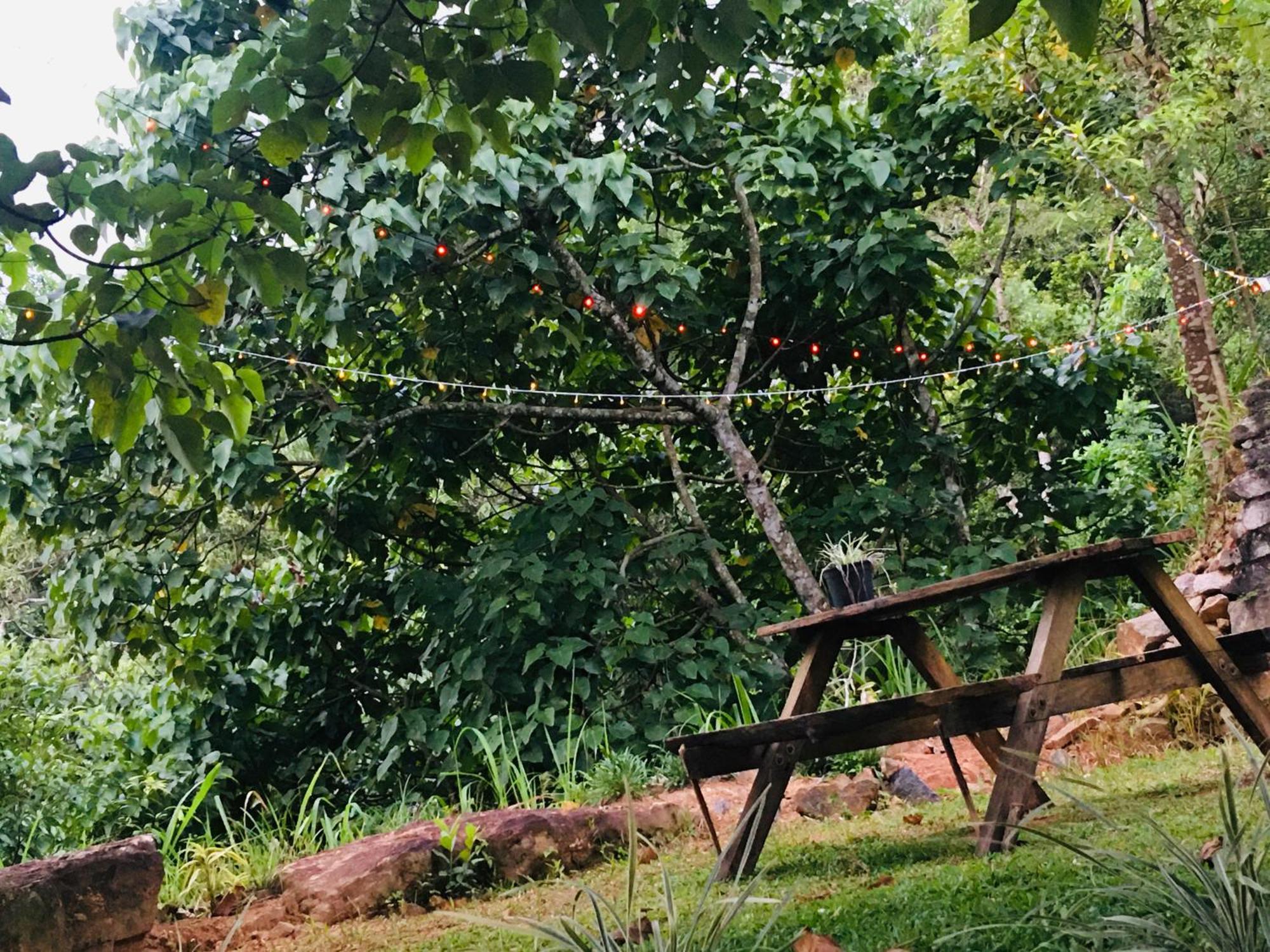Little Wood And Retreats Doluwa