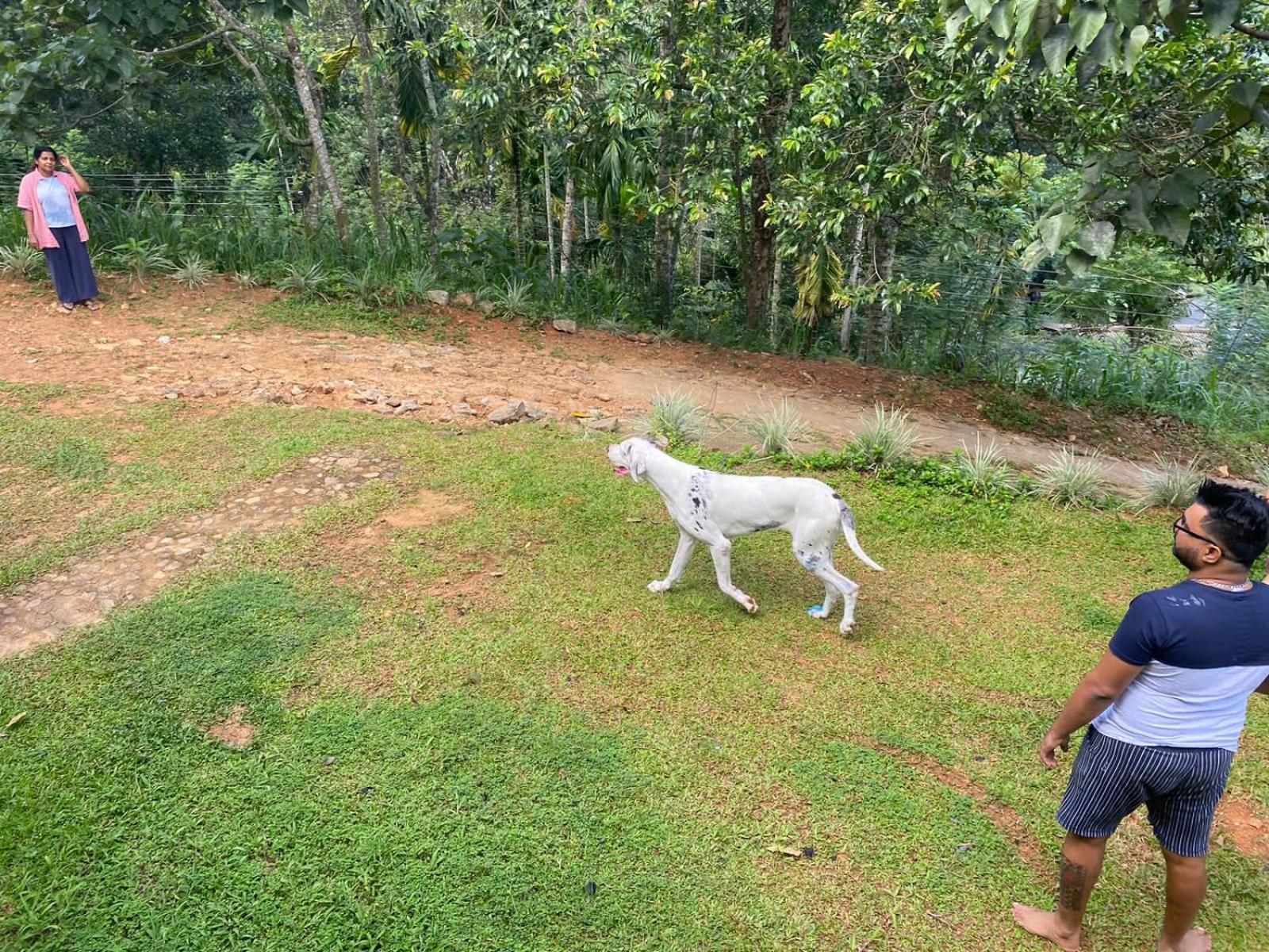 Little Wood And Retreats Doluwa