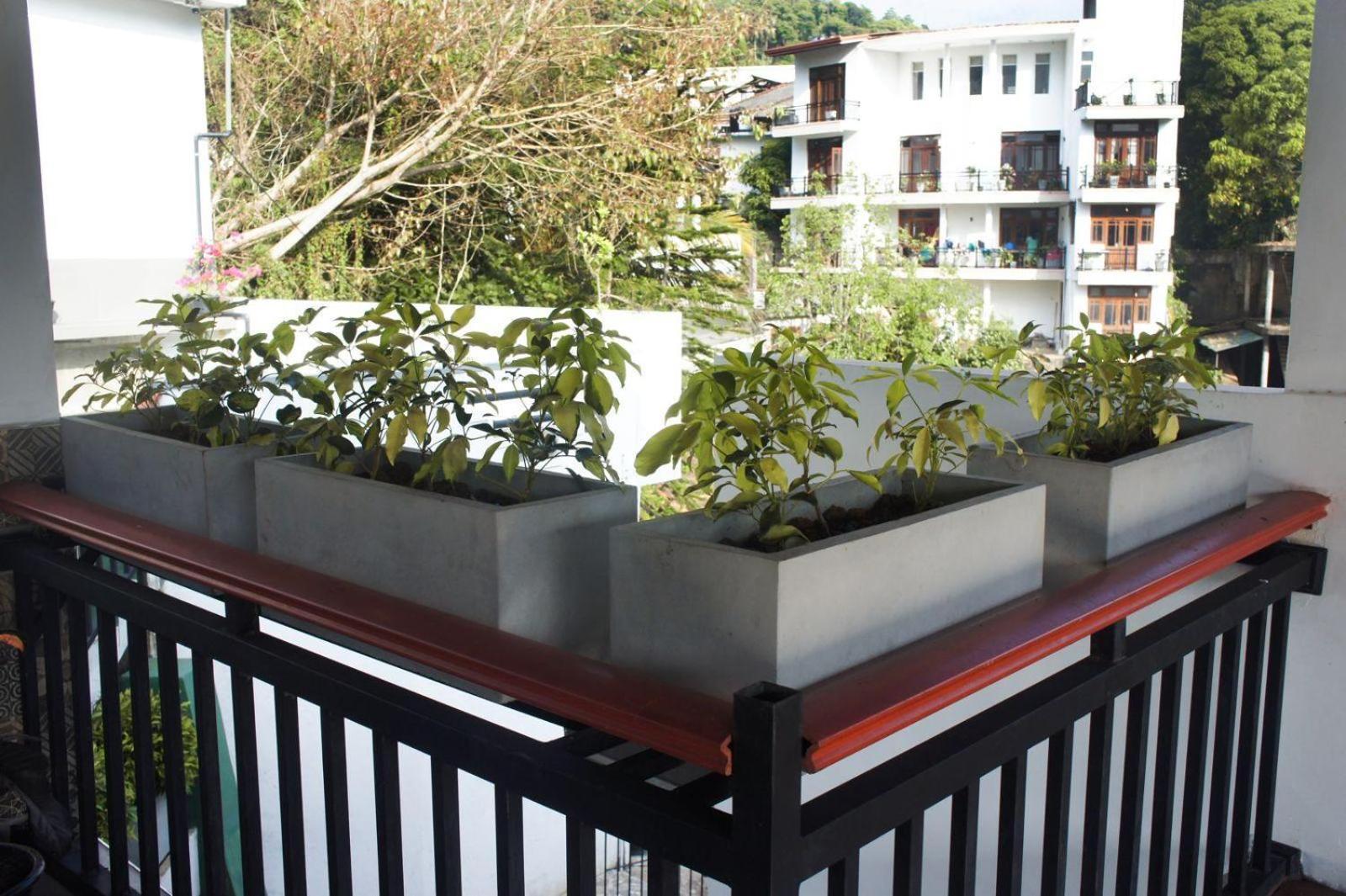 Guest house Ark *