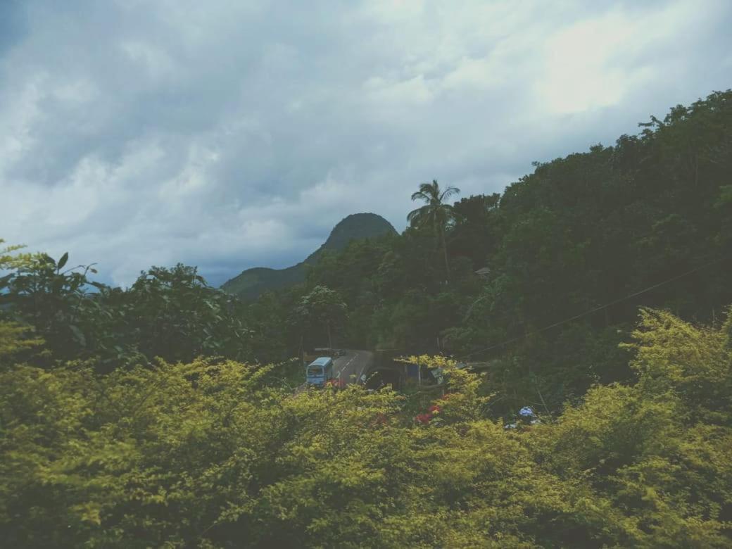 Knuckles Range Bunglow Homestay
