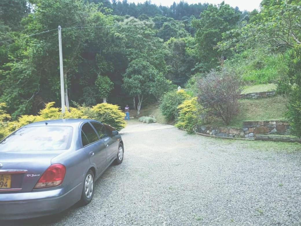Knuckles Range Bunglow Homestay *