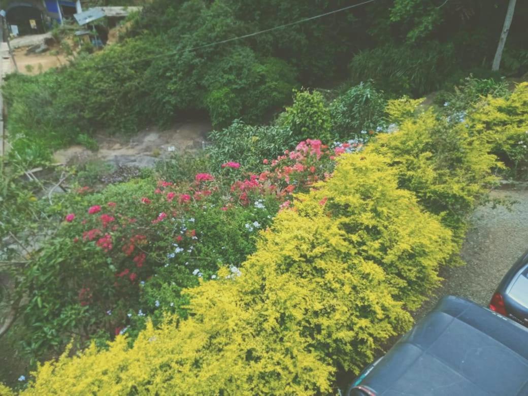 Homestay Knuckles Range Bunglow Kandy
