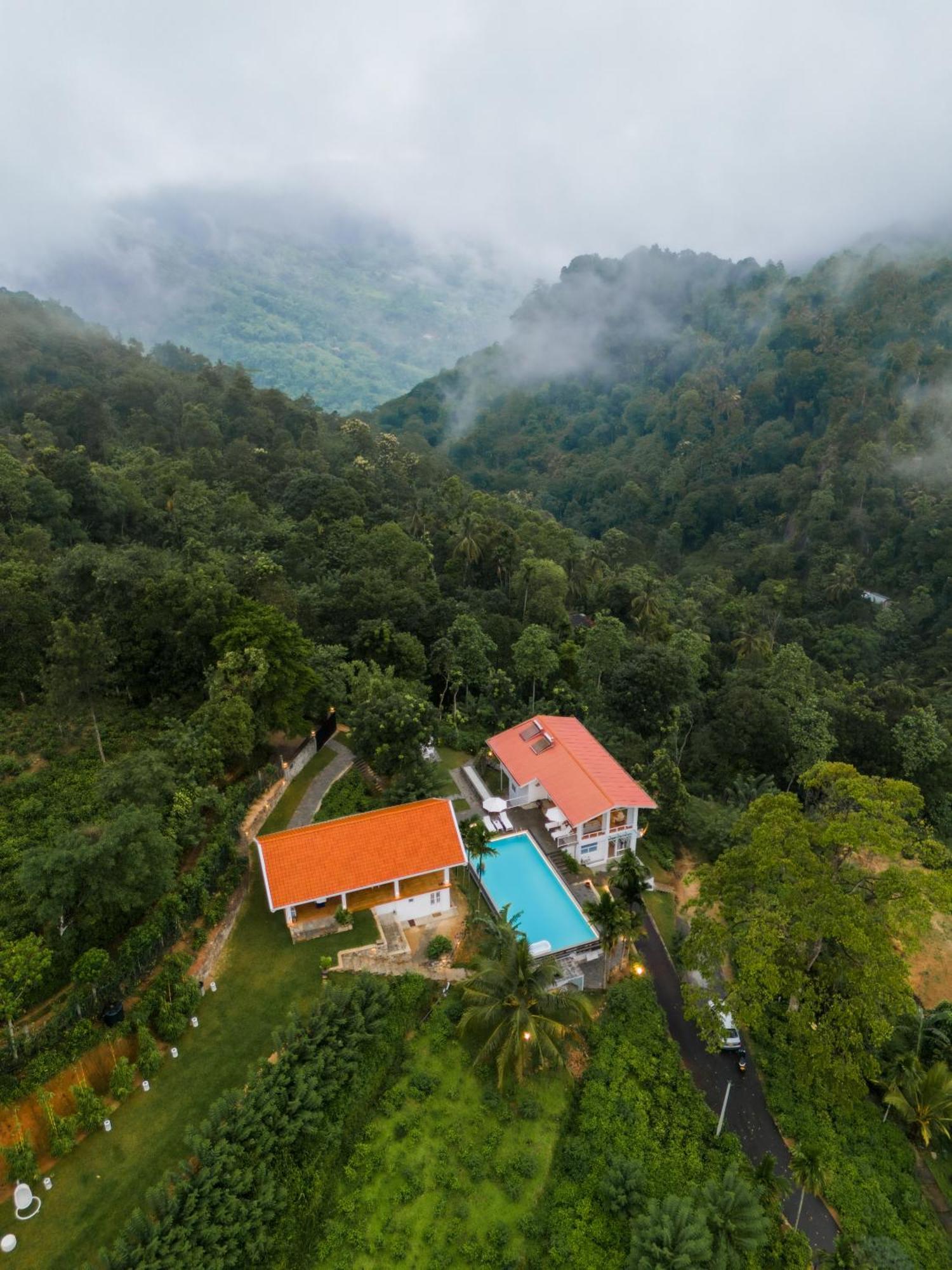 Tea Heights And Kandy