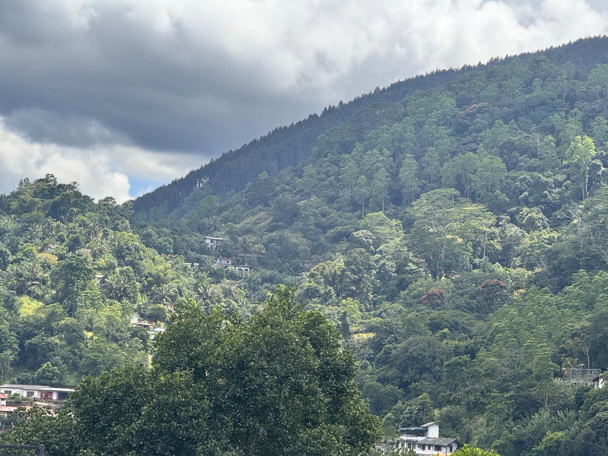 Misty Hills Lakeview Lounge * Kandy