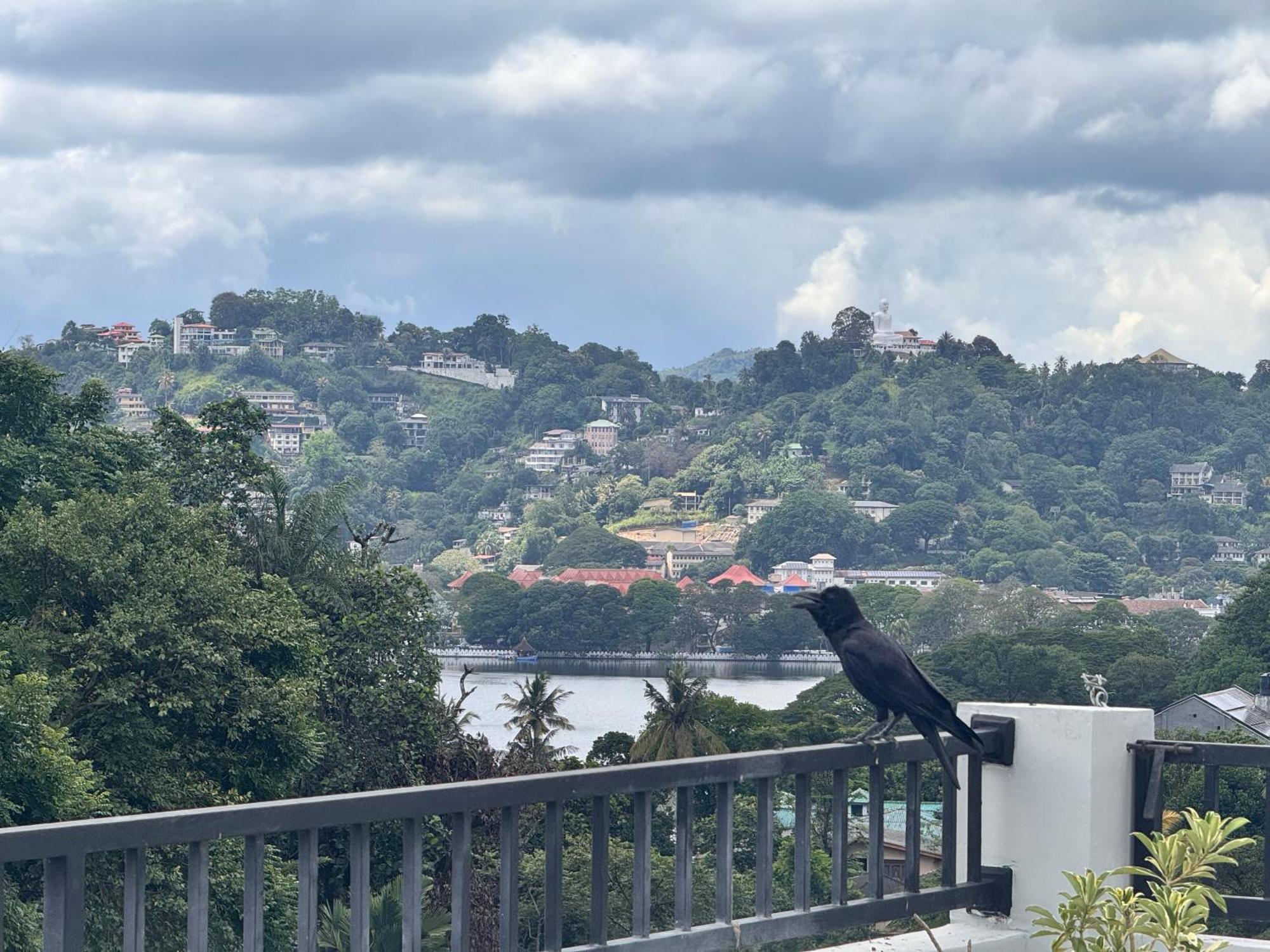 Misty Hills Lakeview Lounge * Kandy