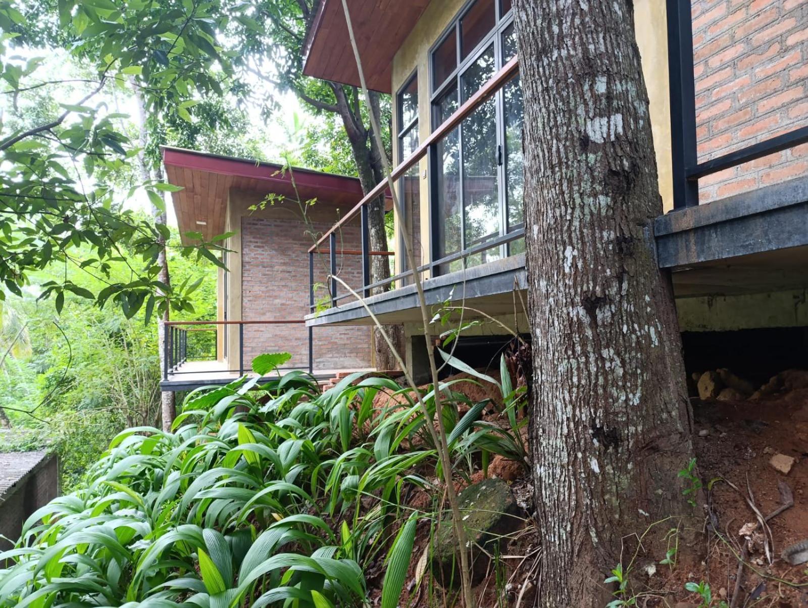 Hotel Bird Kandy