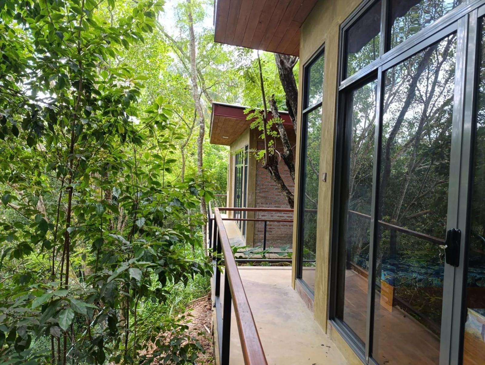 Hotel Bird Kandy