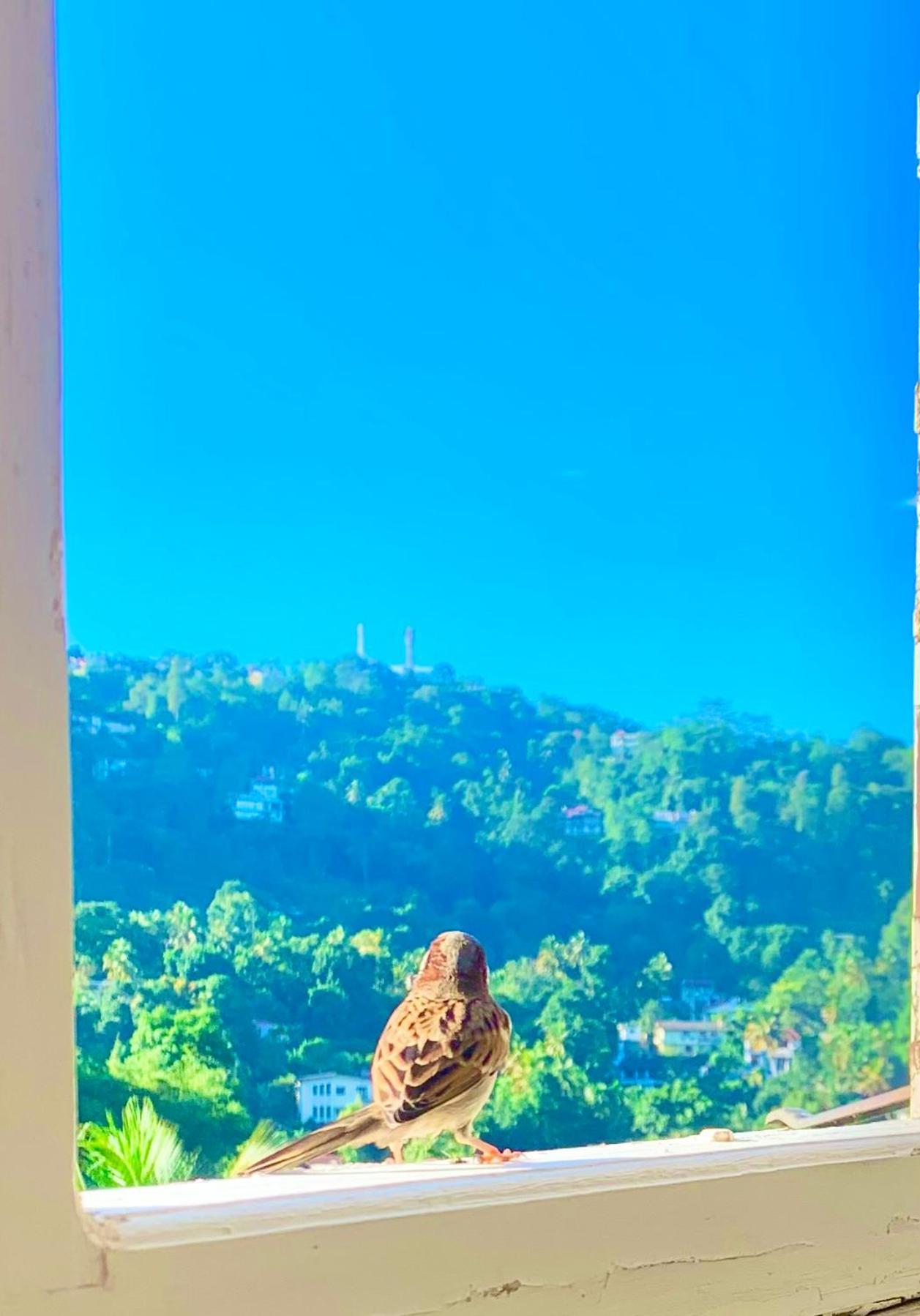 Gangula Kandy