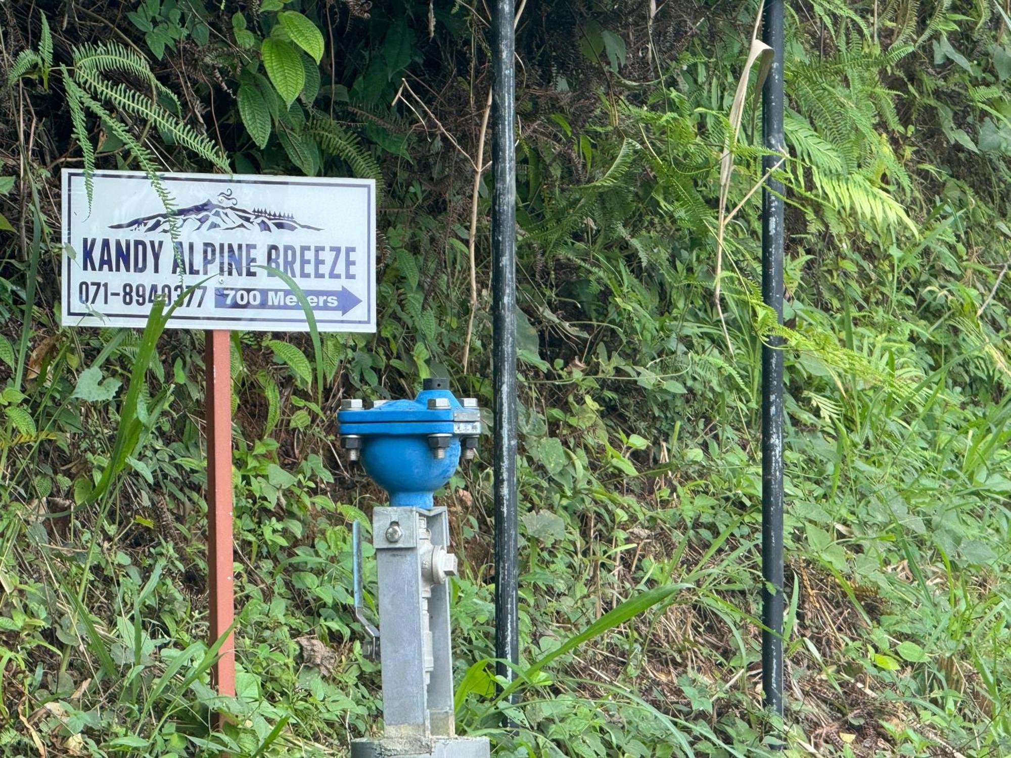 Alpine Breeze * Kandy