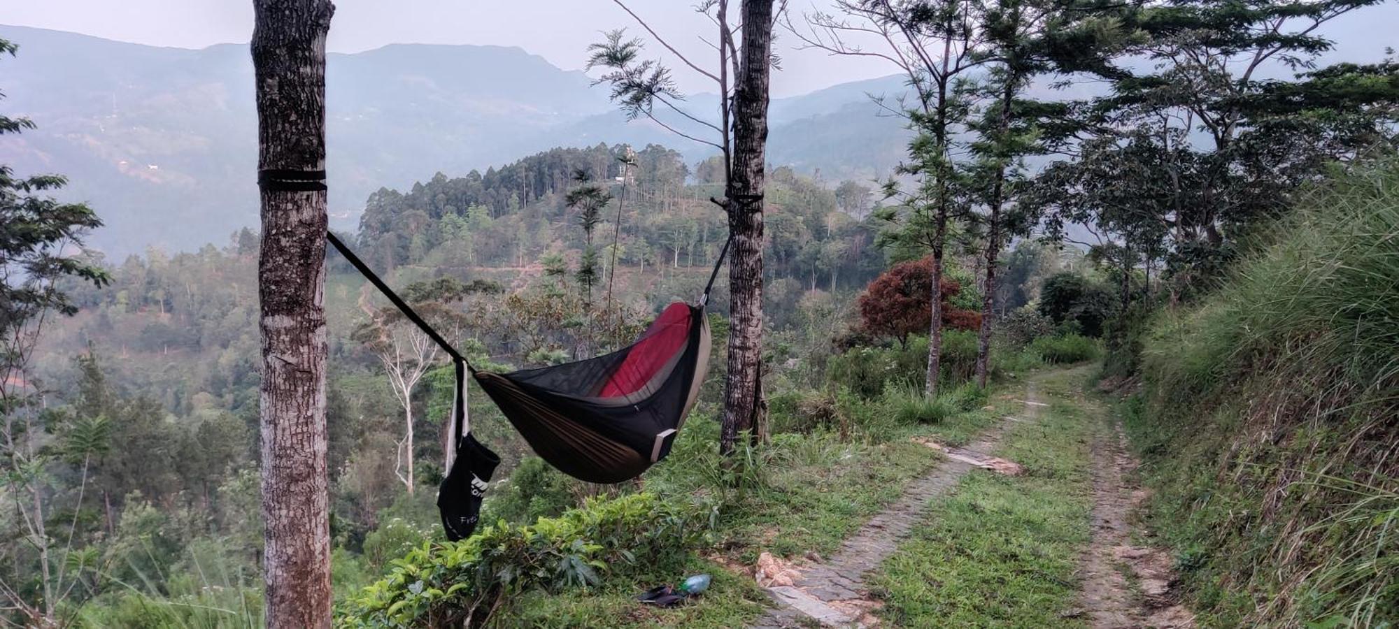 Rohana Estate & Kandy