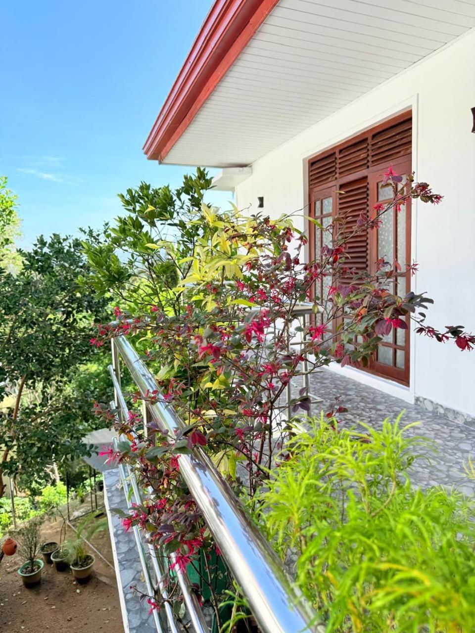 Sonora Guest house