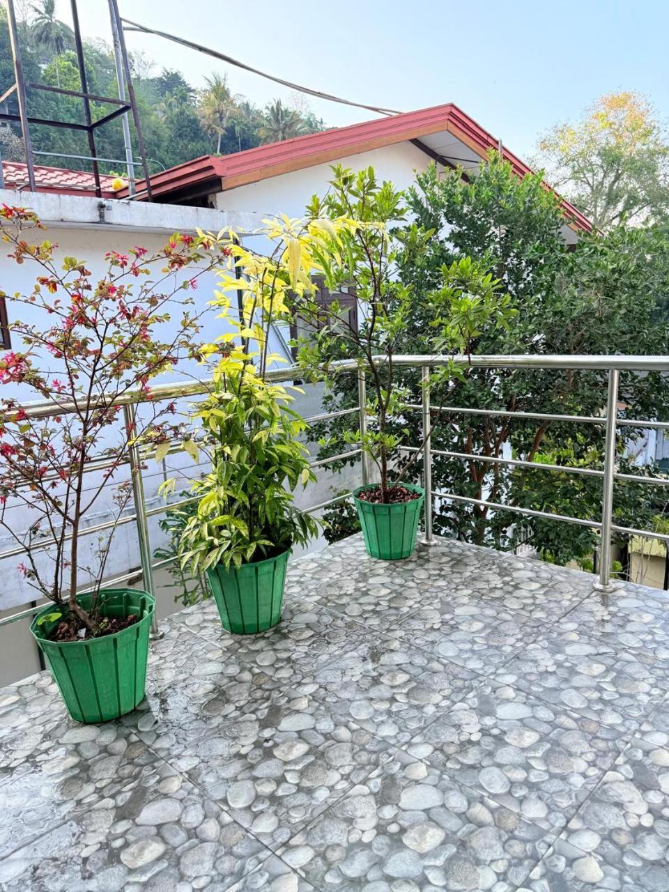 Sonora * Kandy