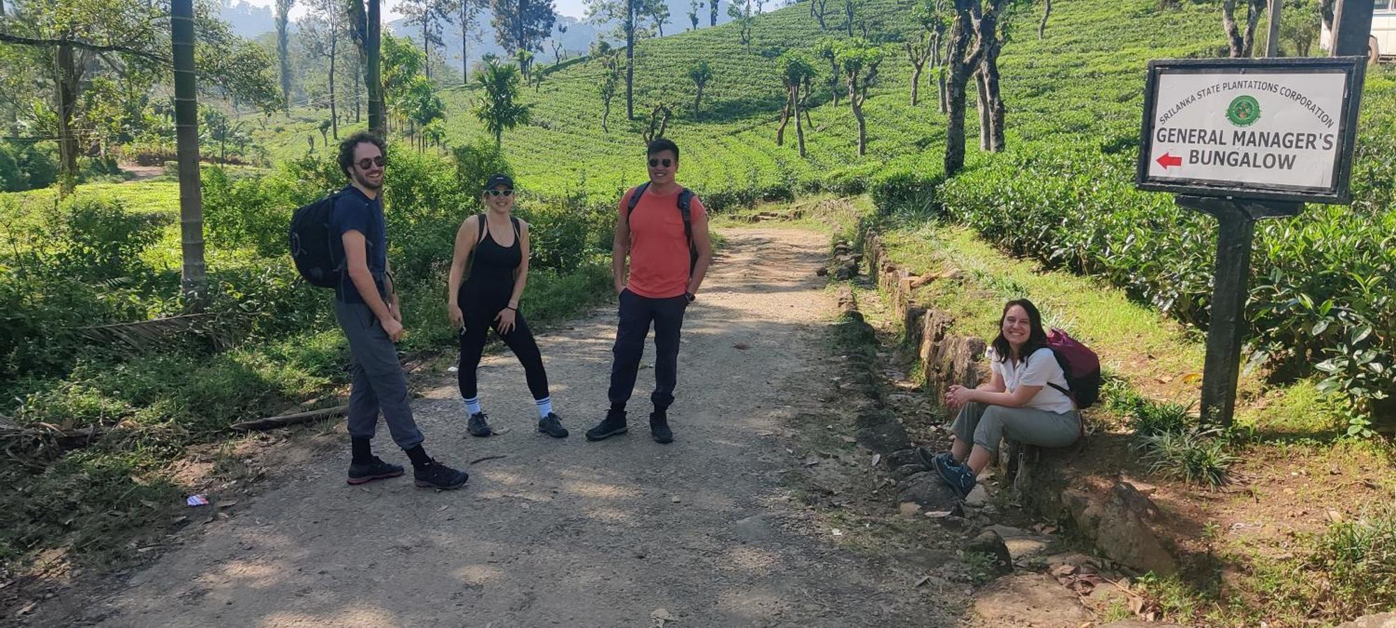 Homestay Rohana Estate & Kandy