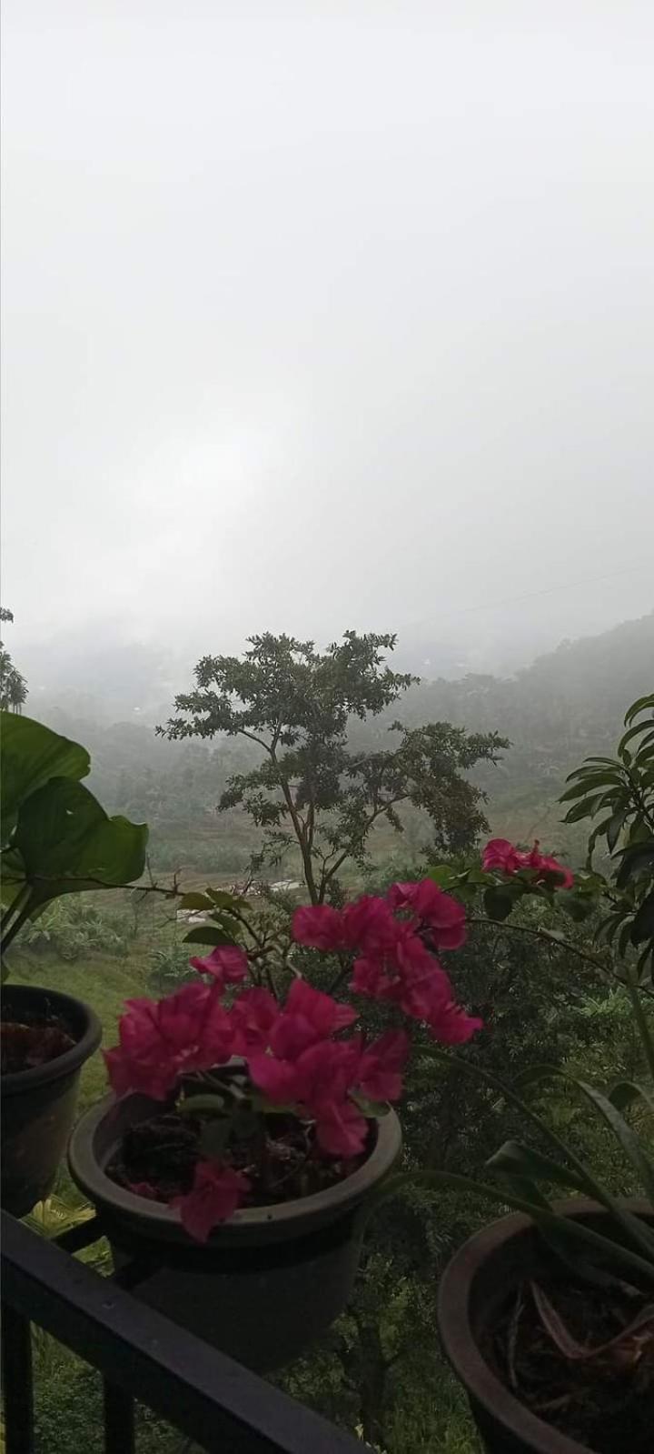 Ivy Mountain View Resort *