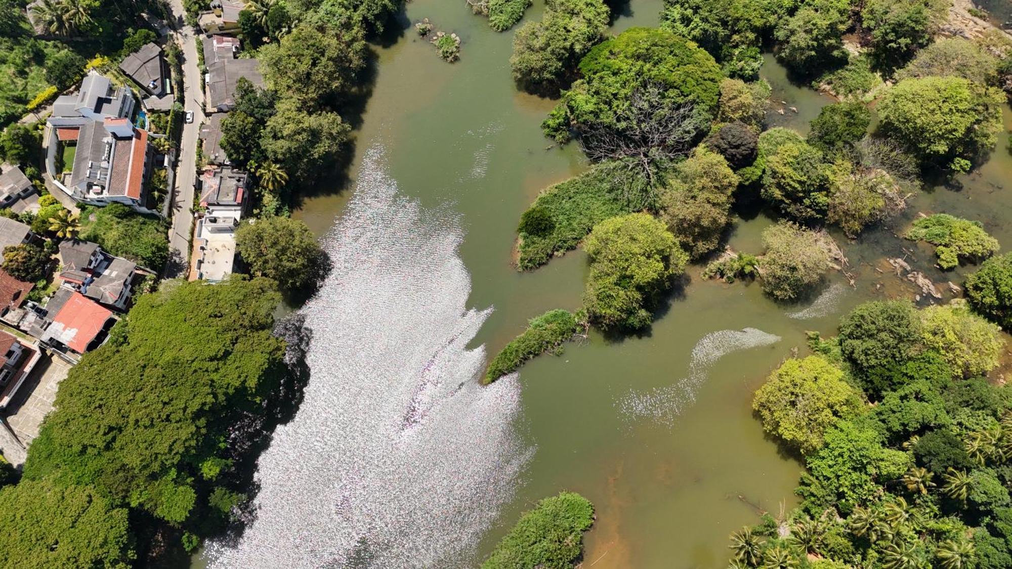 River View Srilanka * Kandy