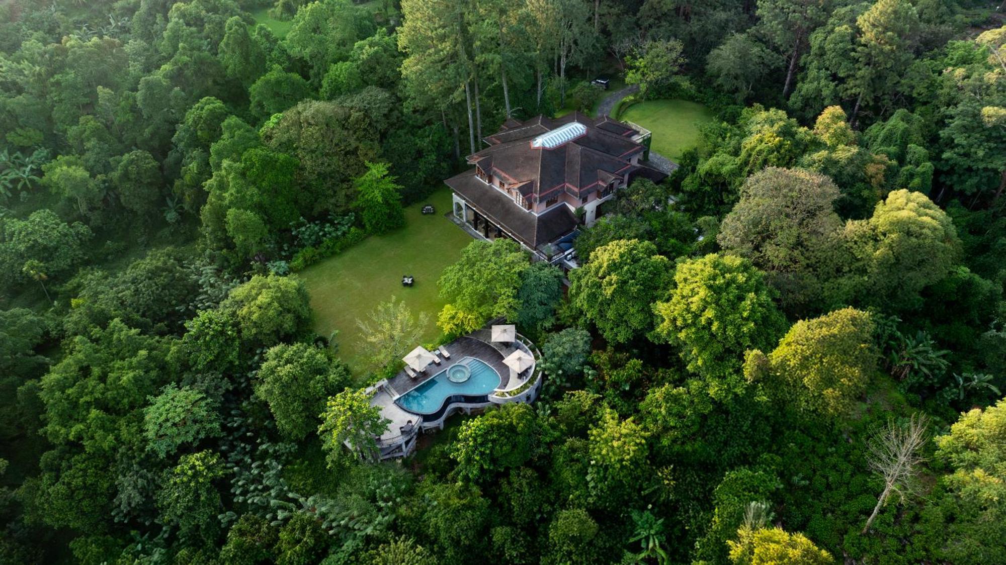 Dendrobium House