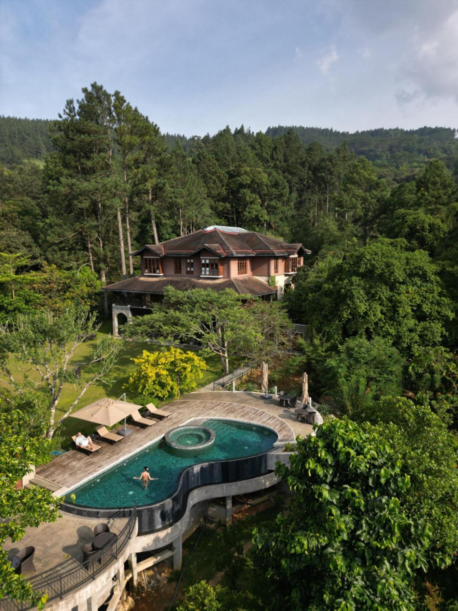 Dendrobium House Hotel *