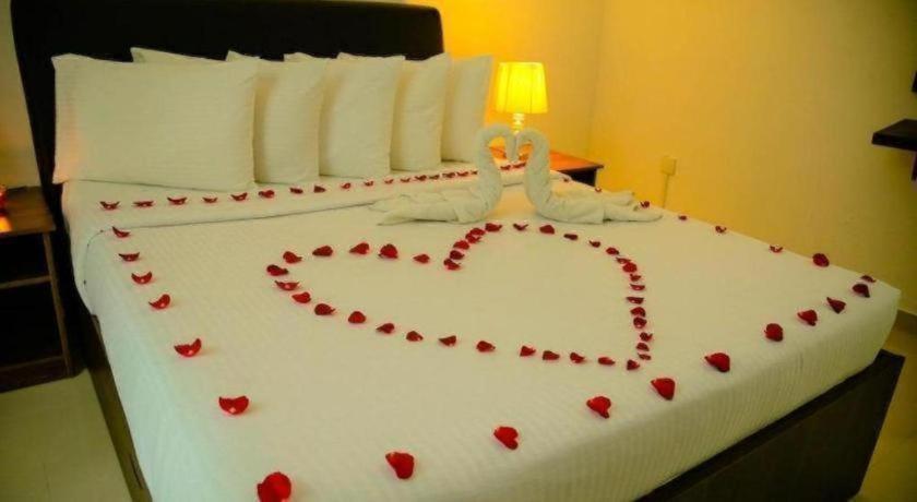 Hotel Nelinsa 3*