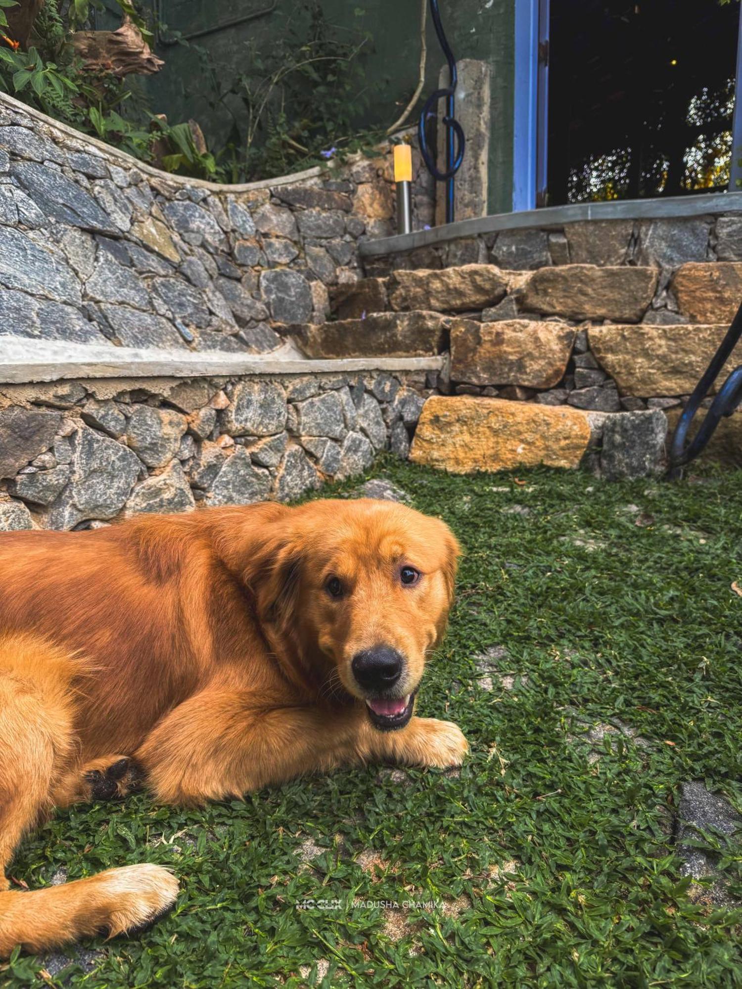 Bed & Breakfast Goddess Kandy