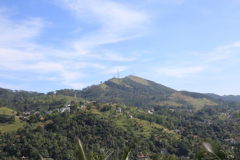 Holiday Stay Inn Homestay *