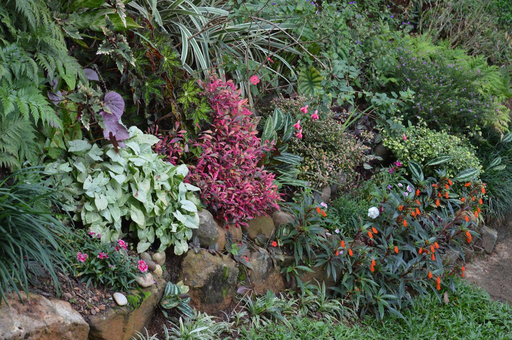 Hanthana Breeze Homestay *