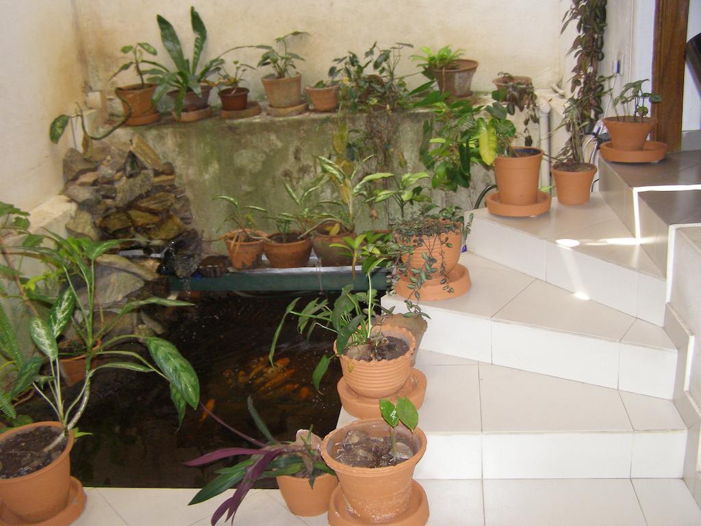 Guest house Quietude Kandy