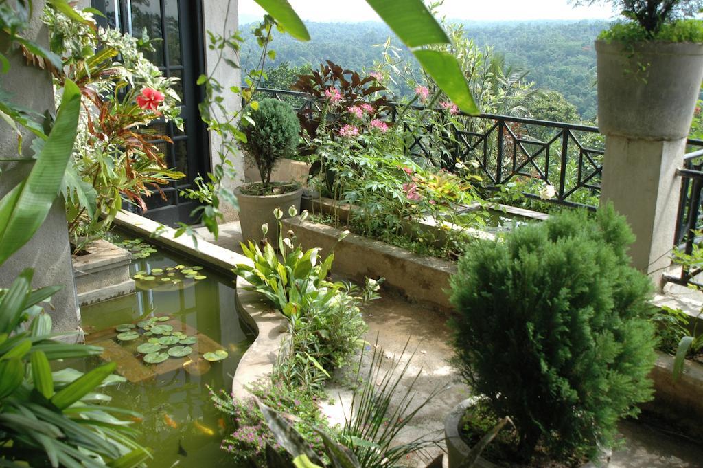 Guest house Senkada Rest 3*