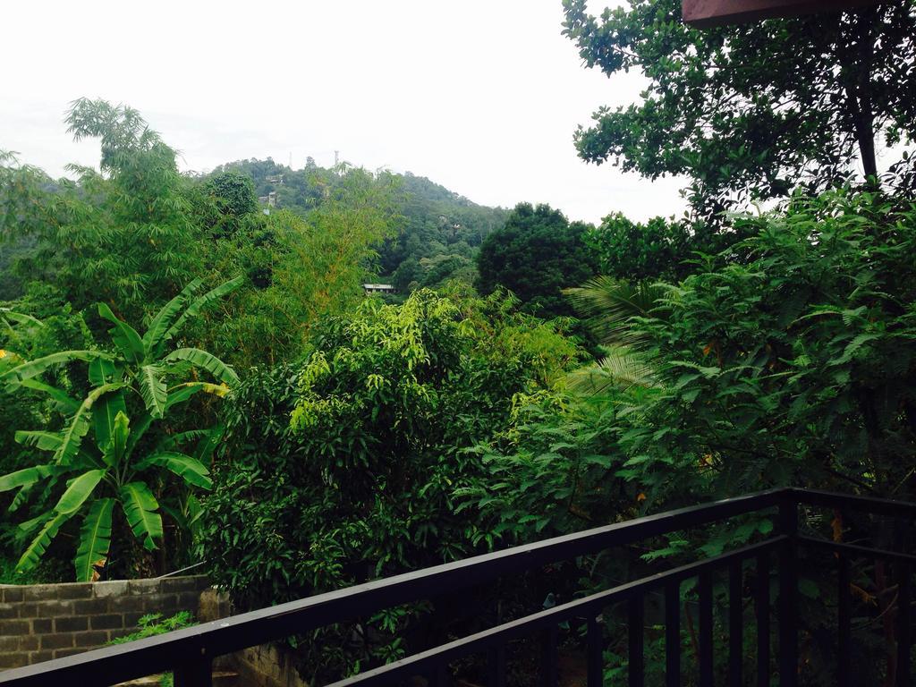 Vin Roma Kandy
