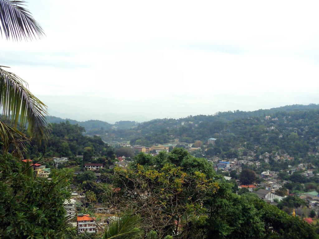 Homestay Holiday Stay Inn *