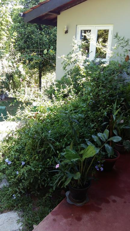 Country house Paradise Kandy
