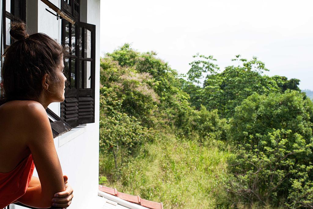 Guest house Hanthana Jungle View Holiday