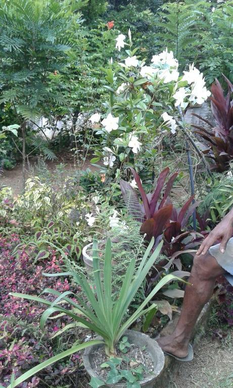 Country house Paradise Kandy
