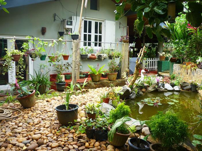 Paradise *