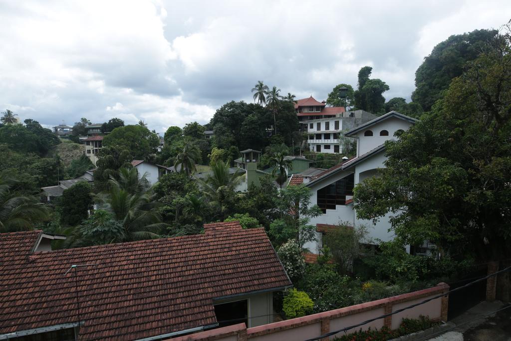 Araliya *