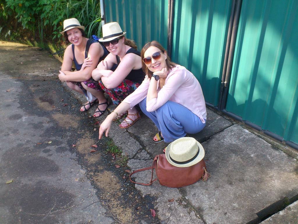Araliya Holiday home Kandy