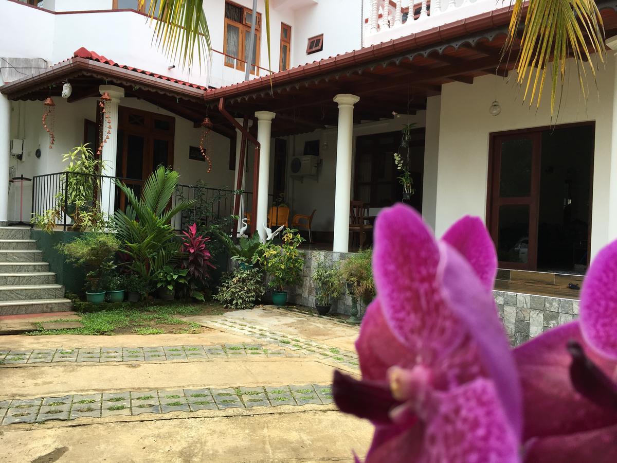 Guest house Hanthana Jungle View Holiday Kandy