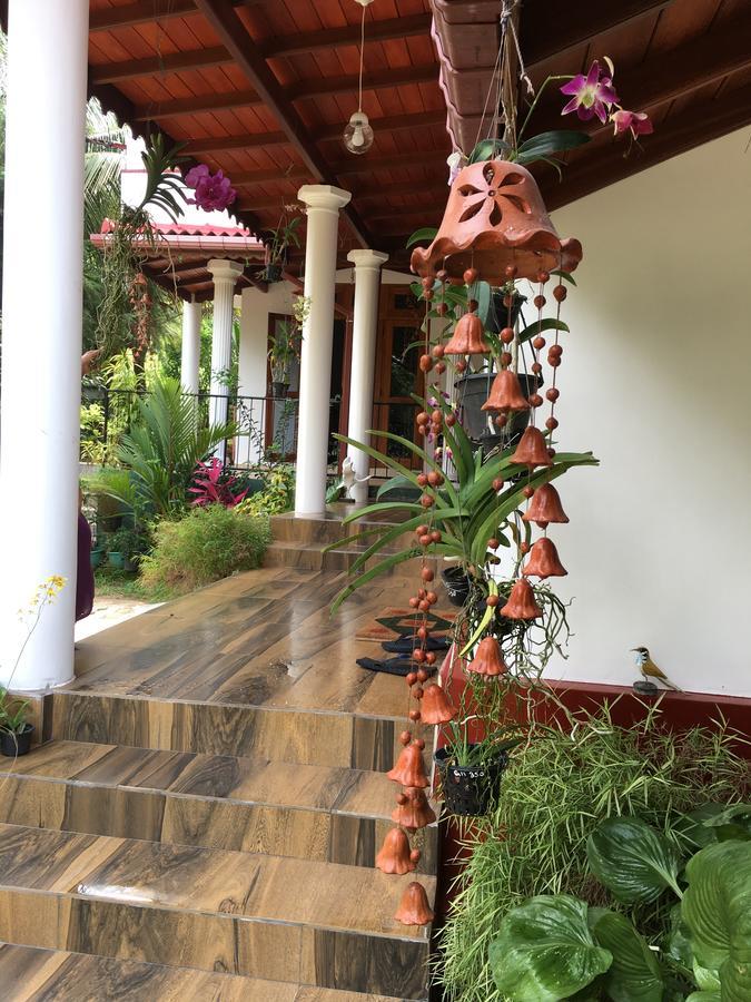 Hanthana Jungle View Holiday Kandy