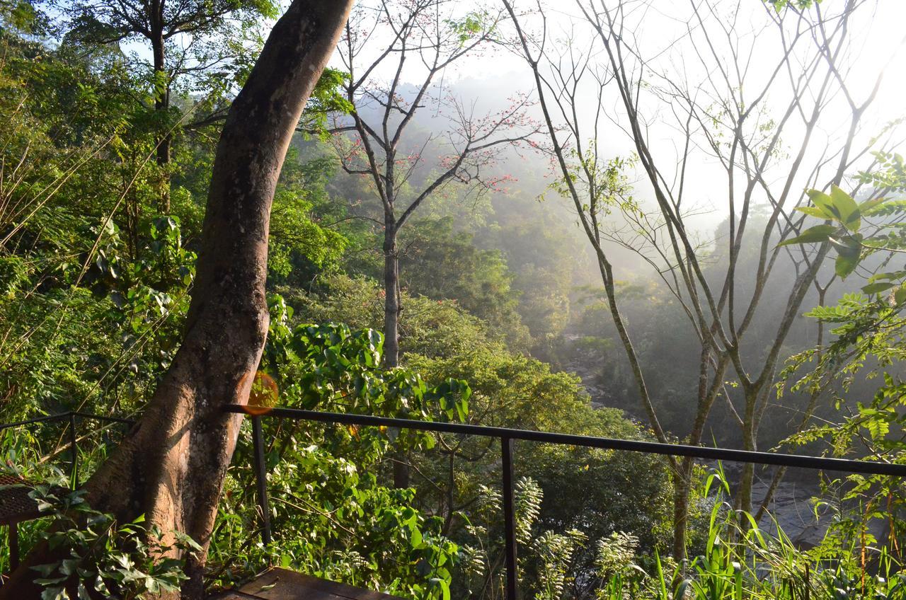 Chalet Nillamba Wild