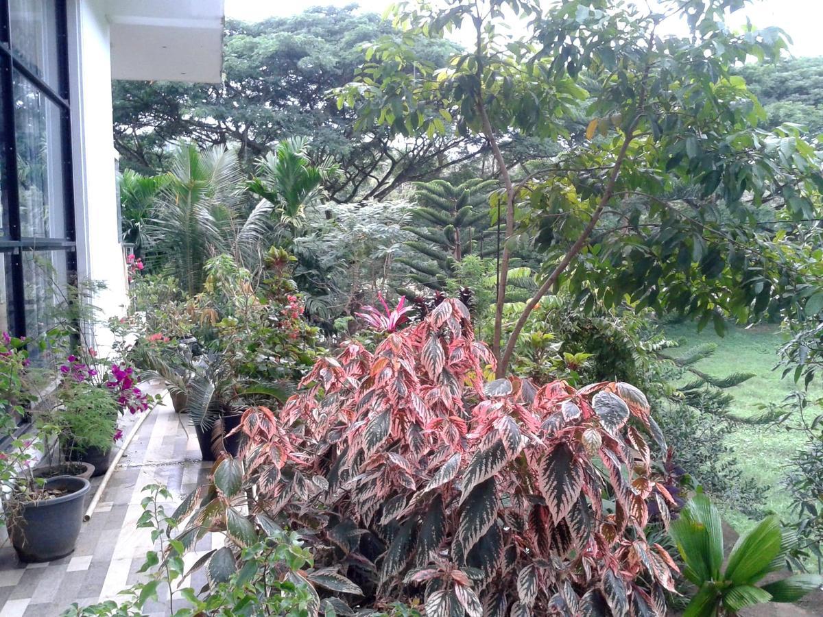 Nice Place