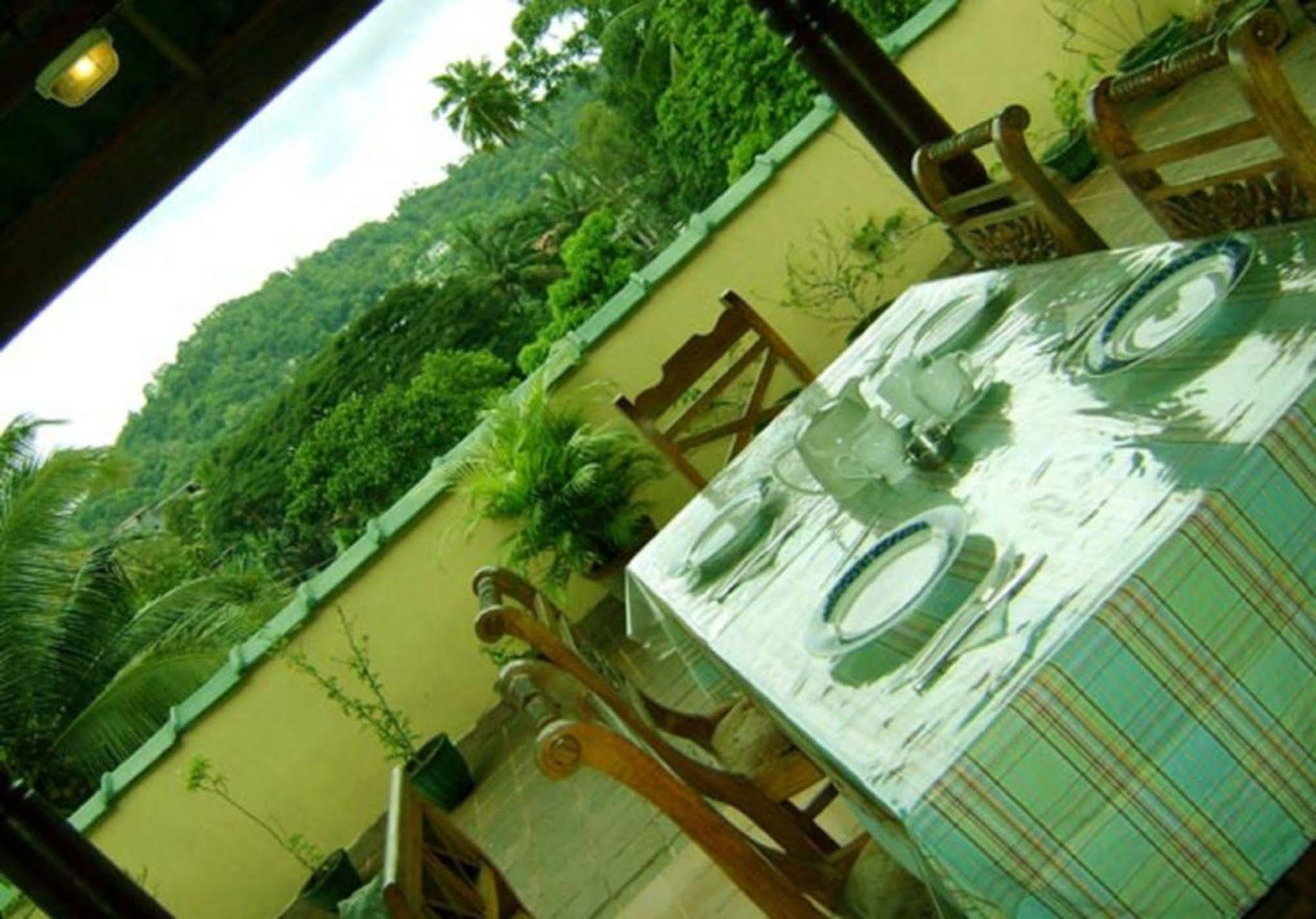 Palm Garden Hostel