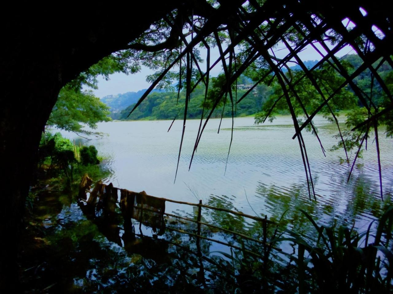 Nice Place
