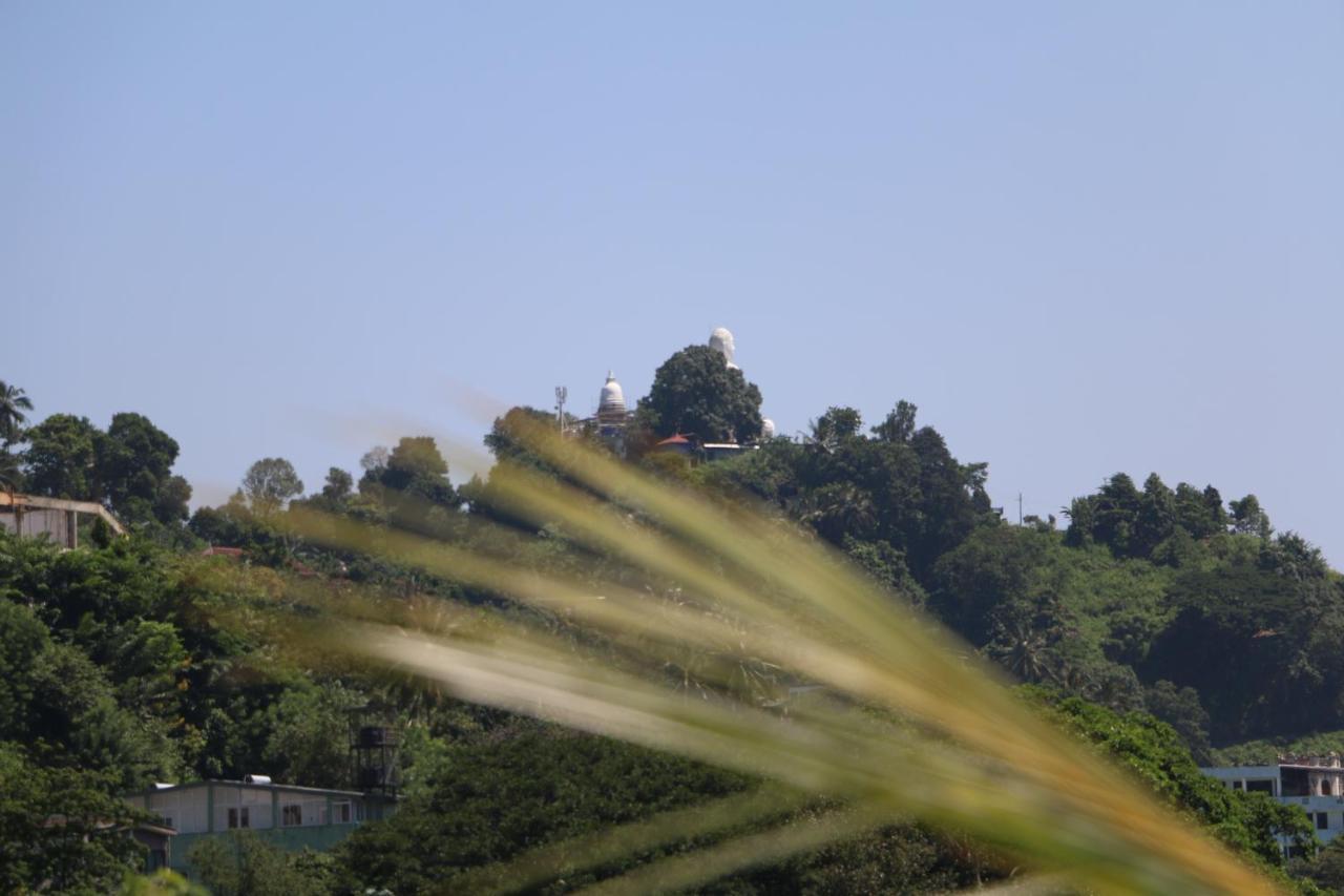 Homestay Village *