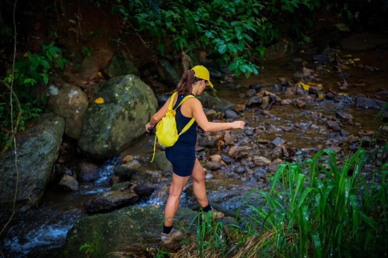 Simpson's Forest - Luxury Boutique & - Hotel Kandy