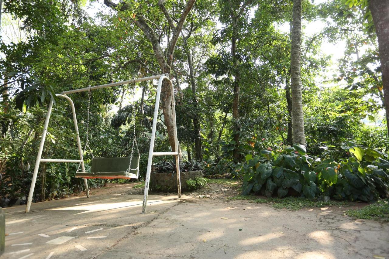 Tree Breeze Guest house